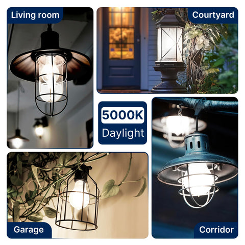 FLSNT four-pack LED bulbs for multiple room upgrades