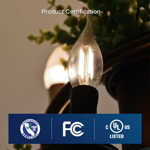 FLSNT six-pack of energy-efficient bulbs for multiple rooms.
