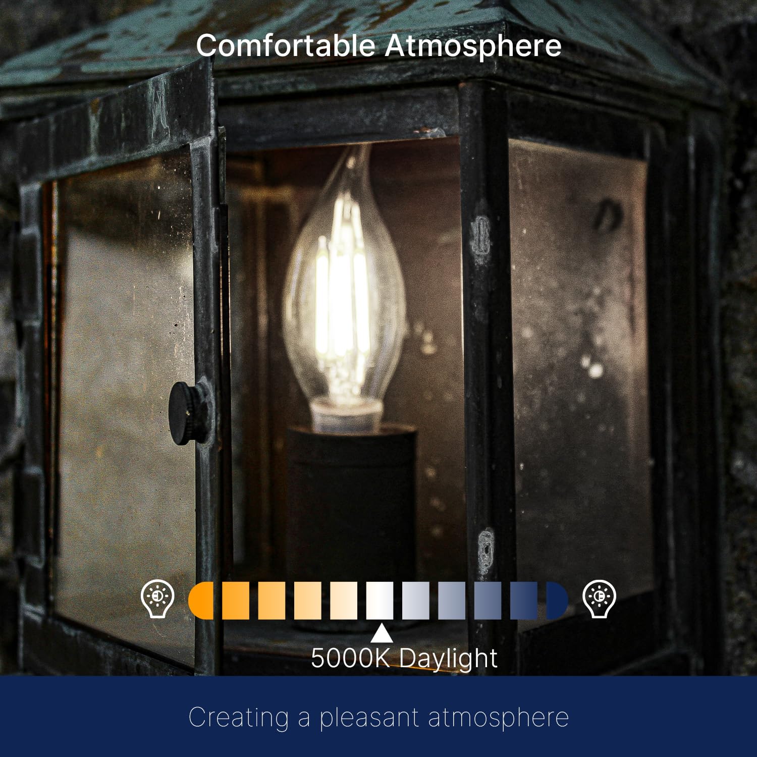 FLSNT dimmable LED bulb compatible with LUTRON dimmers.