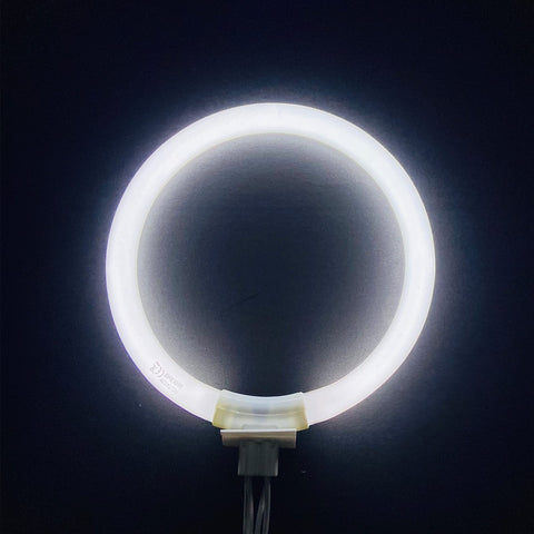Flyercatch two-pack bulbs offer convenient replacement for quick changes.