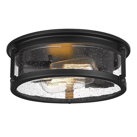 FOITTON black flush mount 2-light with metal cage for kitchen ambience
