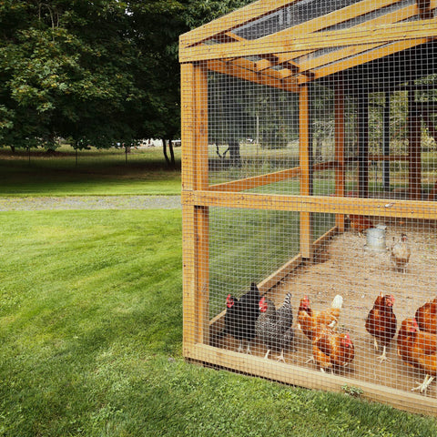 Forimo robust welded mesh for animal enclosures and cages.