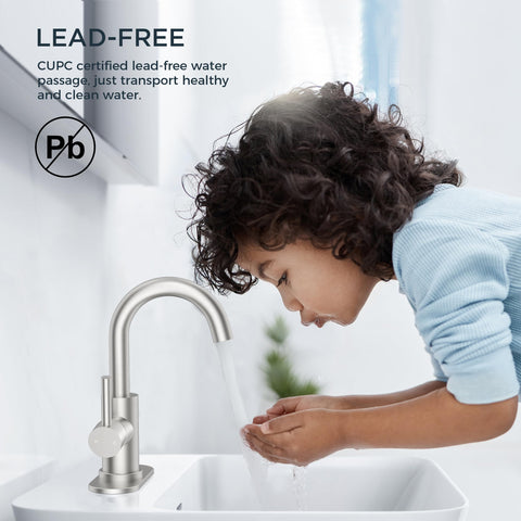 FORIOUS 360-degree swivel spout enables easy rinsing from all angles