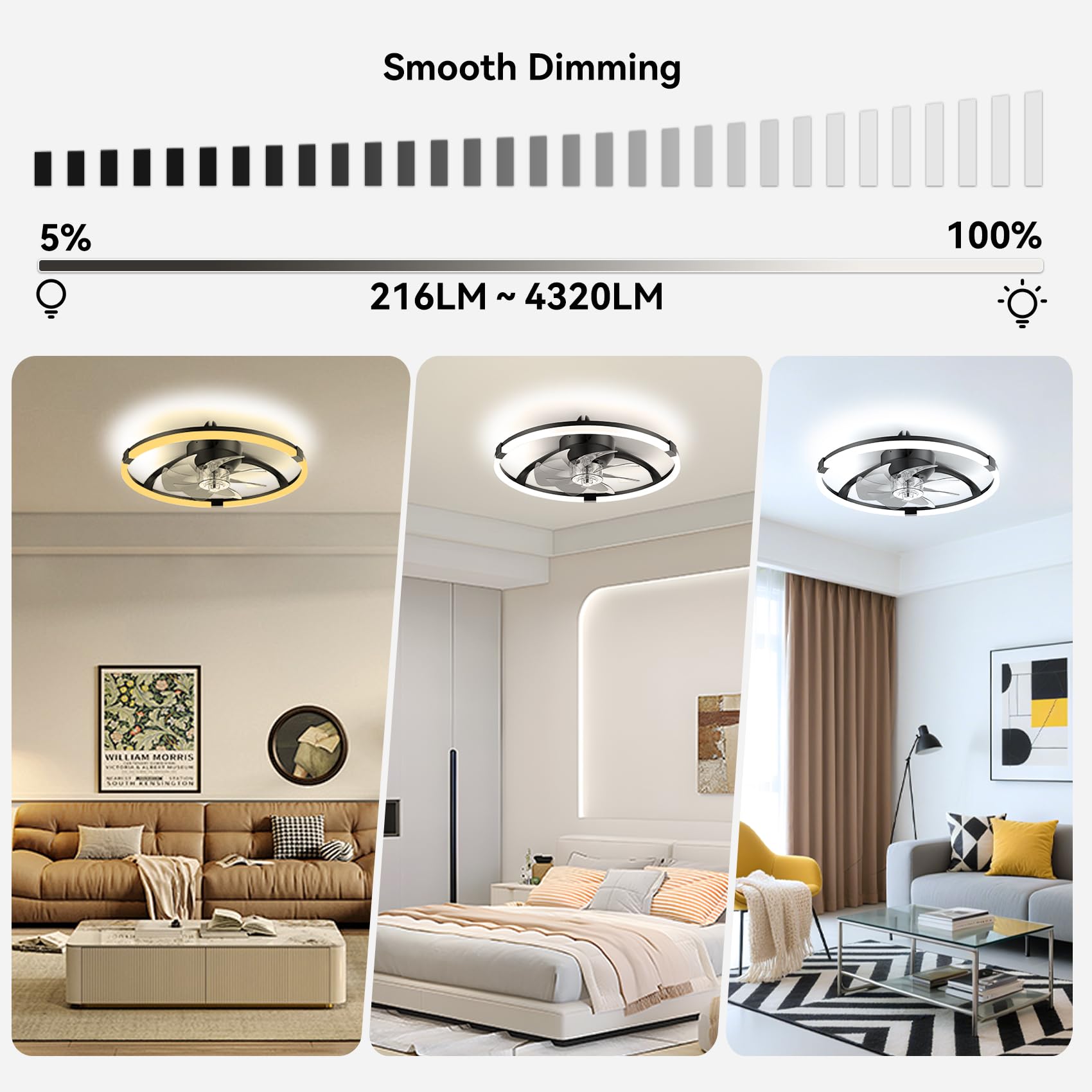 Franjulia remote and app control for convenient fan and light settings.