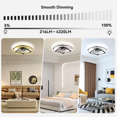 Franjulia remote and app control for convenient fan and light settings.