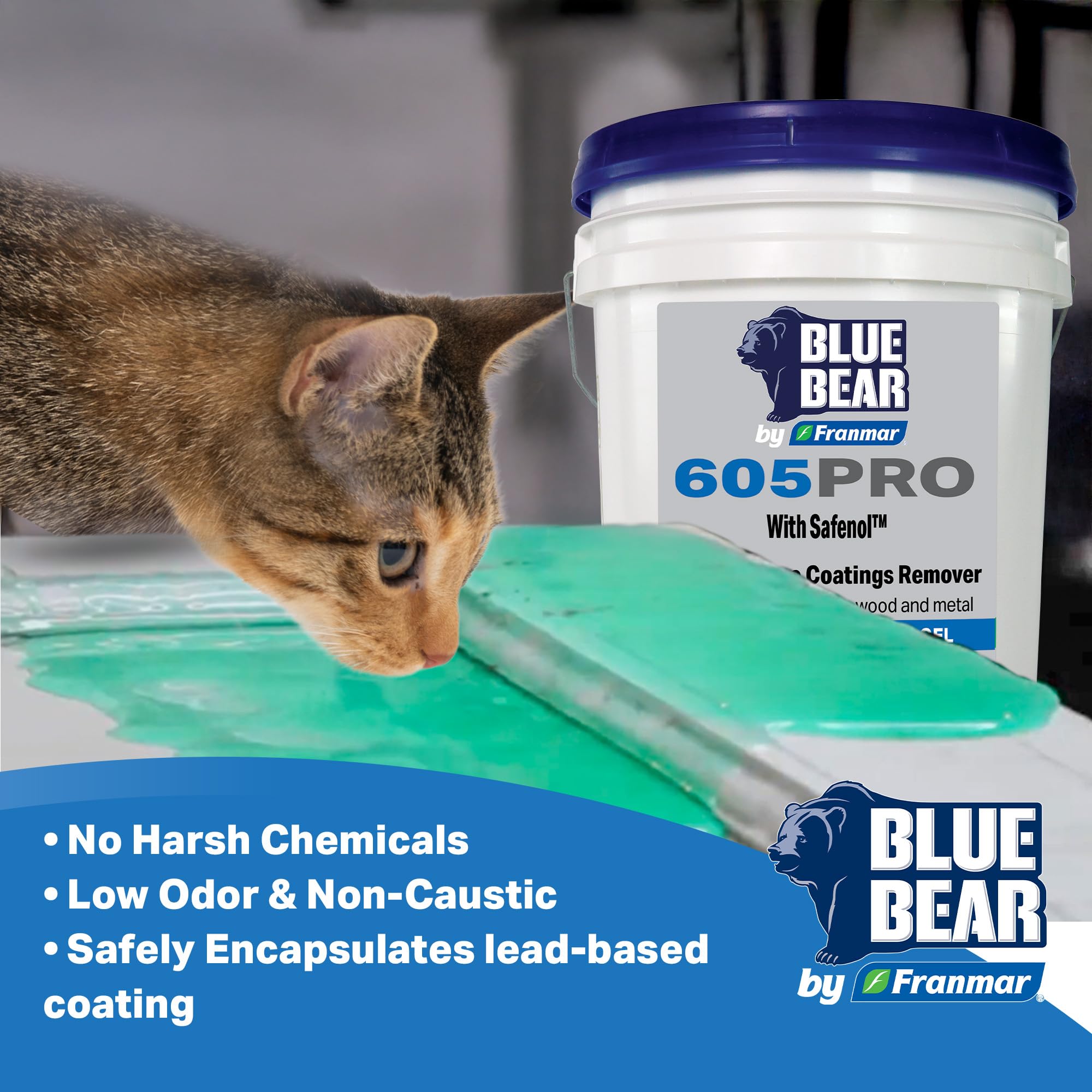 Franmar Blue Bear 605PRO safety usage示 for indoor renovations