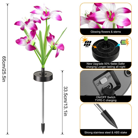 Freshaction lights with auto on/off for effortless dusk-to-dawn outdoor lighting.