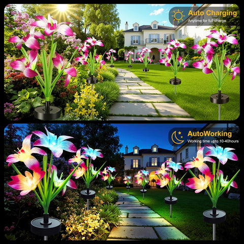 Freshaction IP65 waterproof solar lights withstand year-round weather outdoors.
