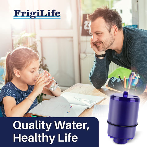FrigiLife installation guide for easy replacement.