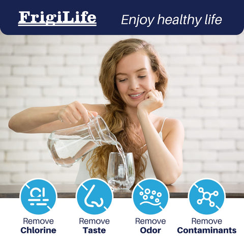 FrigiLife filter seal detail emphasizes leak prevention during daily use