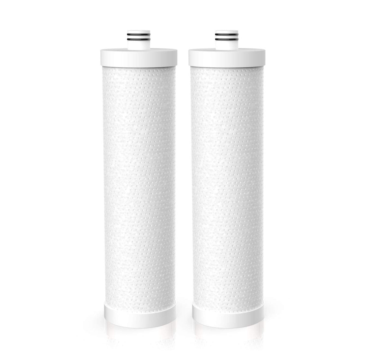 Frizzlife FZ-2 two-pack replacement filter ready for quick swap in MP99, MK99, MV99, and MS99.