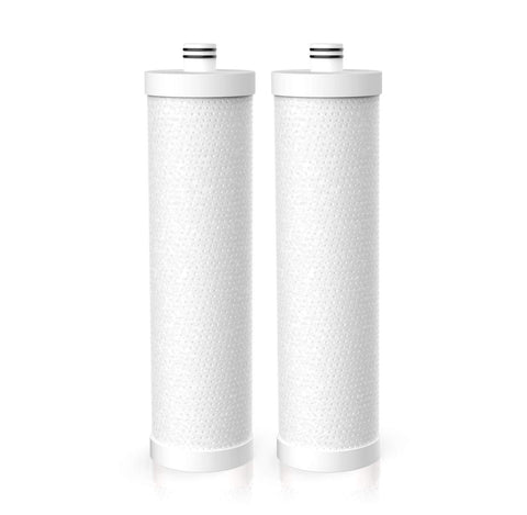 Frizzlife FZ-2 two-pack replacement filter ready for quick swap in MP99, MK99, MV99, and MS99.