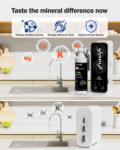 Frizzlife PD600 600 GPD flow illustration for fast drinking water
