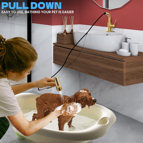 FROPO gold faucet made of lead-free stainless steel for durability