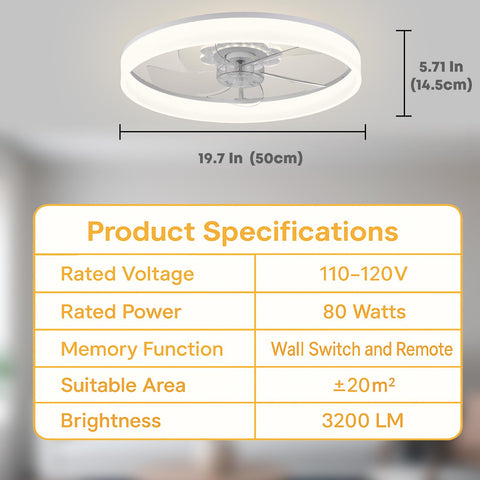 Fszdorj F116 quiet DC motor for peaceful spaces