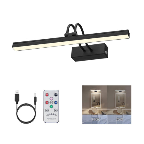 FUNCHDAY picture light mounted on wall with remote for easy brightness control.