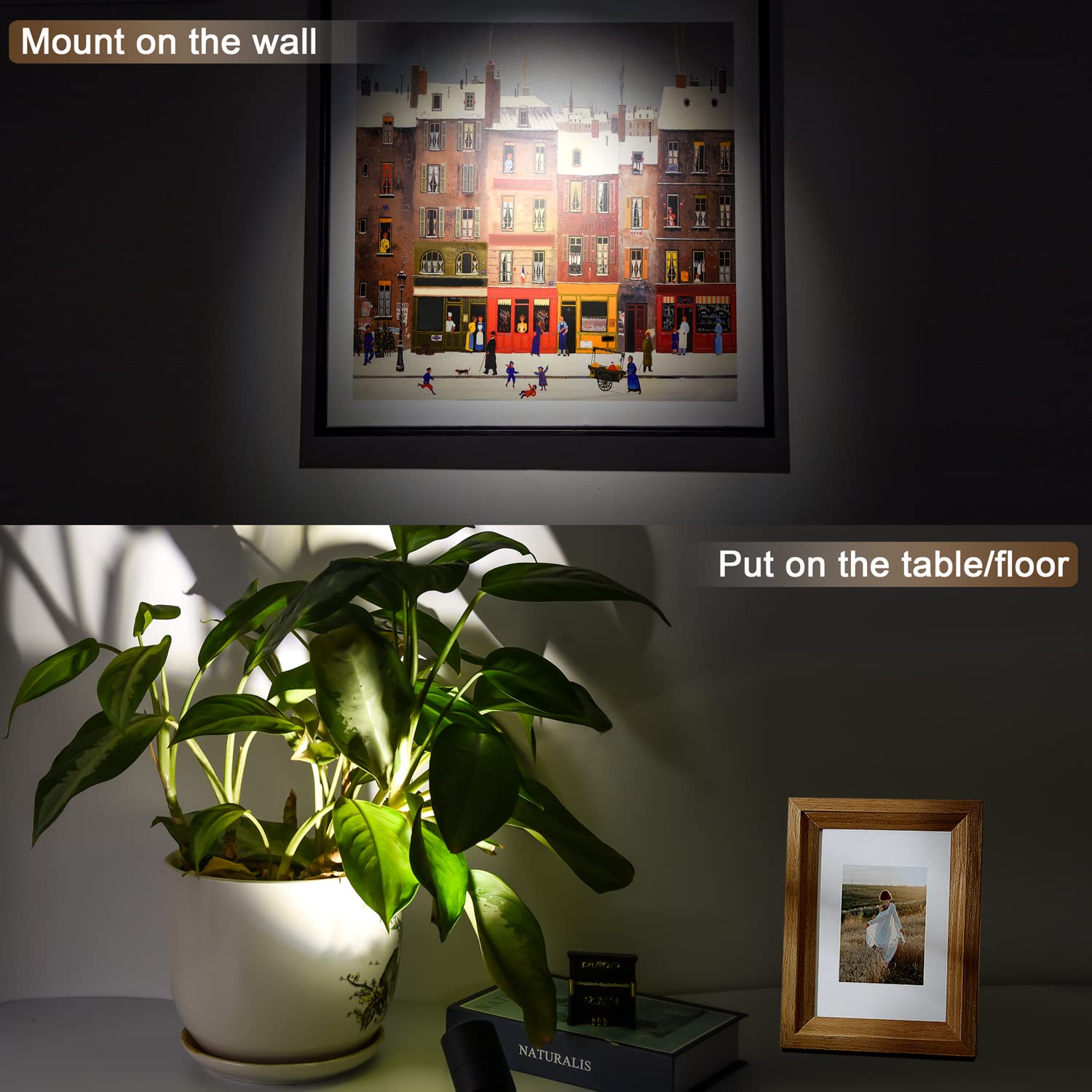 FZWLE compact uplight highlighting indoor plants and decor.