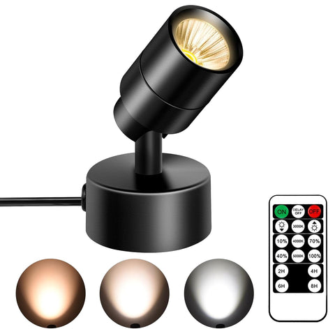FZWLE dimmable spot light with remote control for versatile timing.