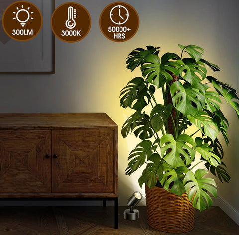 FZWLE uplight shown with timer functionality for scheduling.