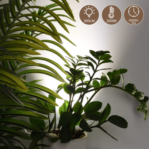 FZWLE color temperature range 3000K-5000K for art and plants