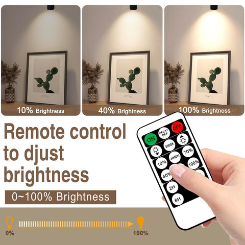 FZWLE dimmable brightness for customizable ambiance