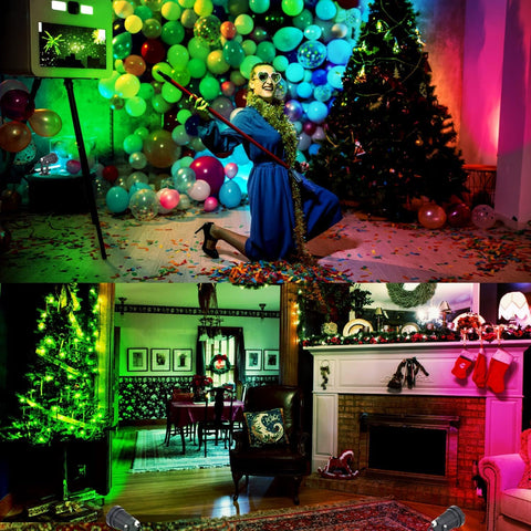 FZWLE plant and art accent lighting to highlight decor
