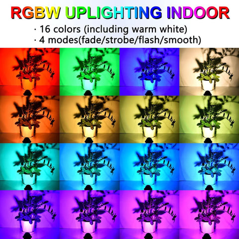 RGBW up lights offering 16 color options for mood lighting