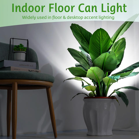FZWLE 7W daylight LED illuminates a desk workspace with clarity.