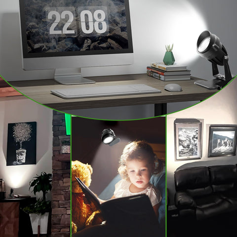 FZWLE spotlight highlights a poster with focused, true-color lighting.