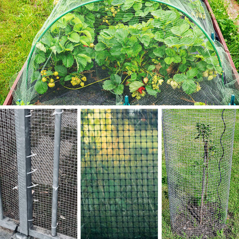 Gardeal welded cage mesh for durable outdoor projects and crafts.