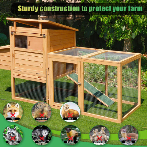 Gbekery vegetable garden mesh protecting crops from pests and debris.