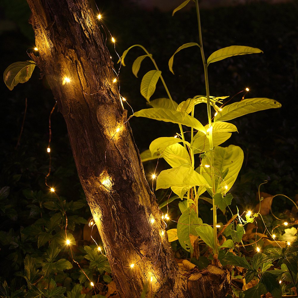 GDEALER 16.4 ft string with 50 LEDs for broad coverage