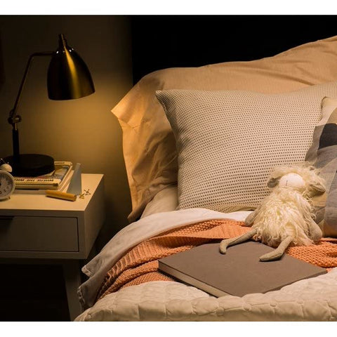 GE LED energy-saving bulb lowers long-term electricity use in homes