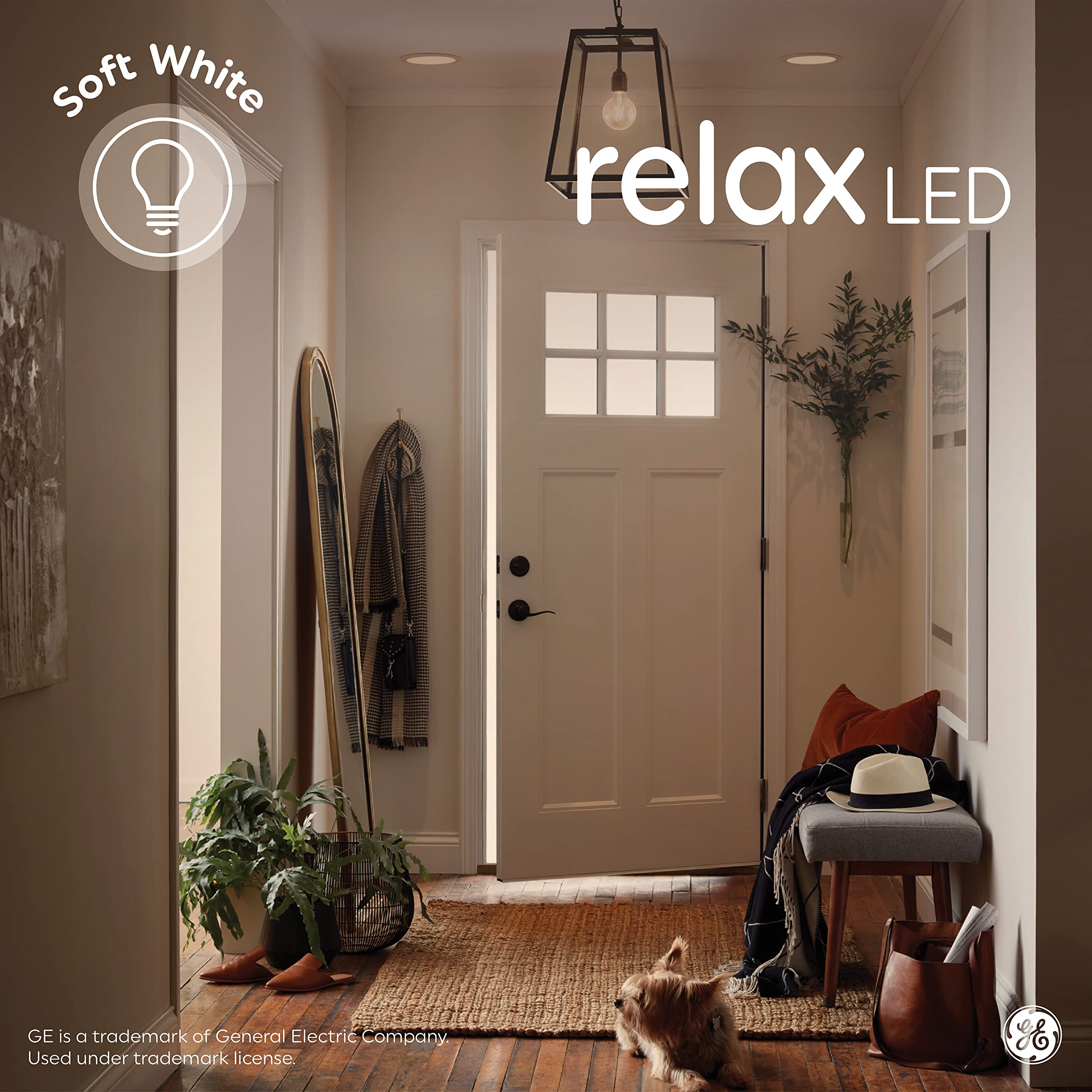 GE Relax soft white glow highlights colors and textures.