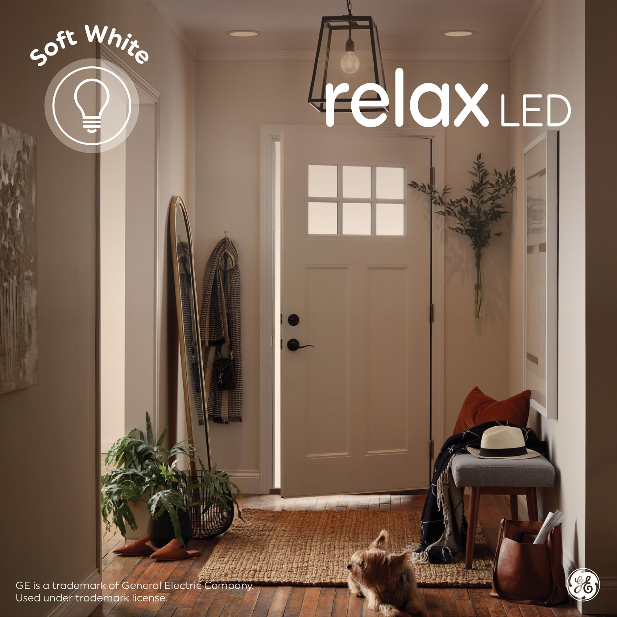 GE Relax HD energy-saving bulbs use only 10W, replacing 60W incandescent