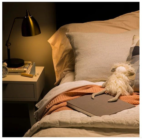GE Relax ST19 bulbs suited for indoor damp locations