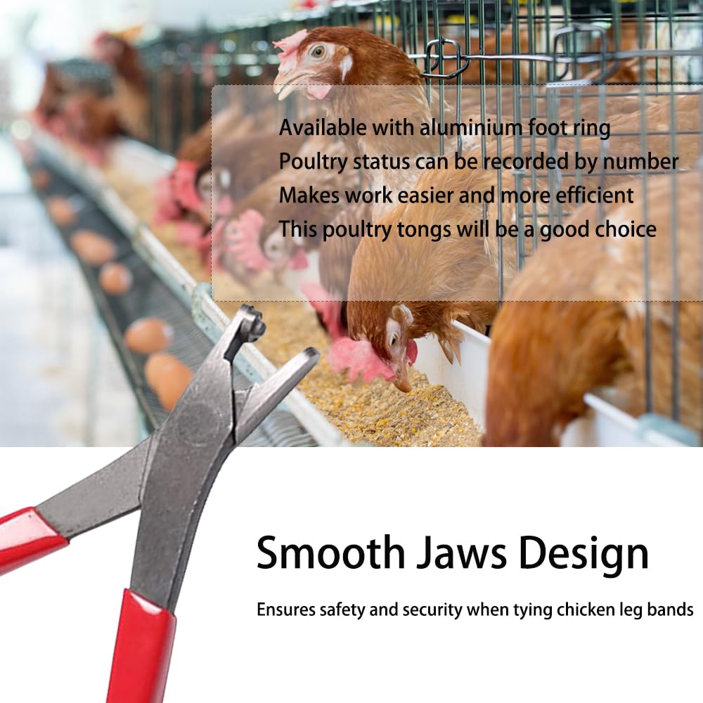 GERMODI one-piece steel construction emphasizes durability and consistent performance.