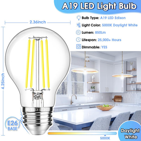 GGOYING dimmable Edison LED bulb 5000K for mood and task lighting
