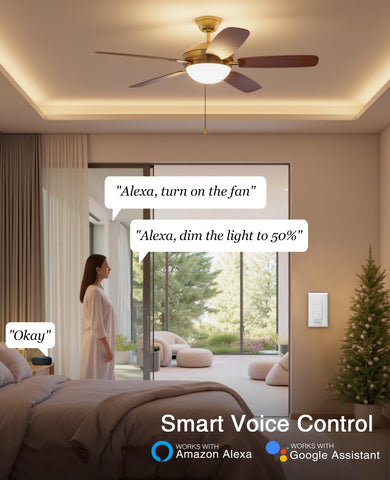 GHome Smart Dimmer Switch voice control with Alexa and Google Assistant.
