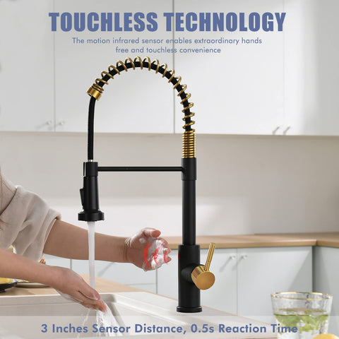 GIMILI pull-down sprayer with dual settings for filling and cleaning