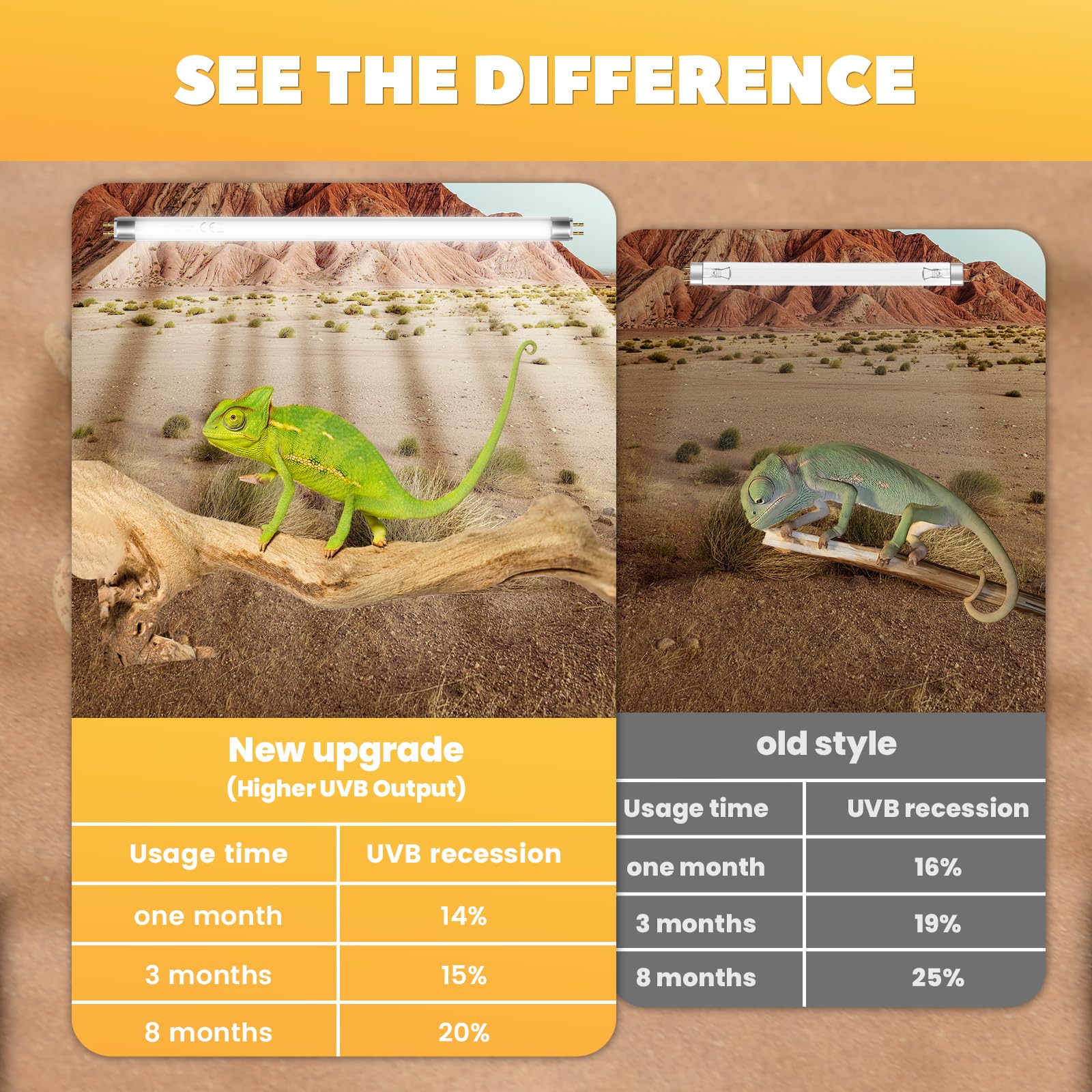GlowUp UVB 10-0 and UVA spectrum supports natural daylight cues.