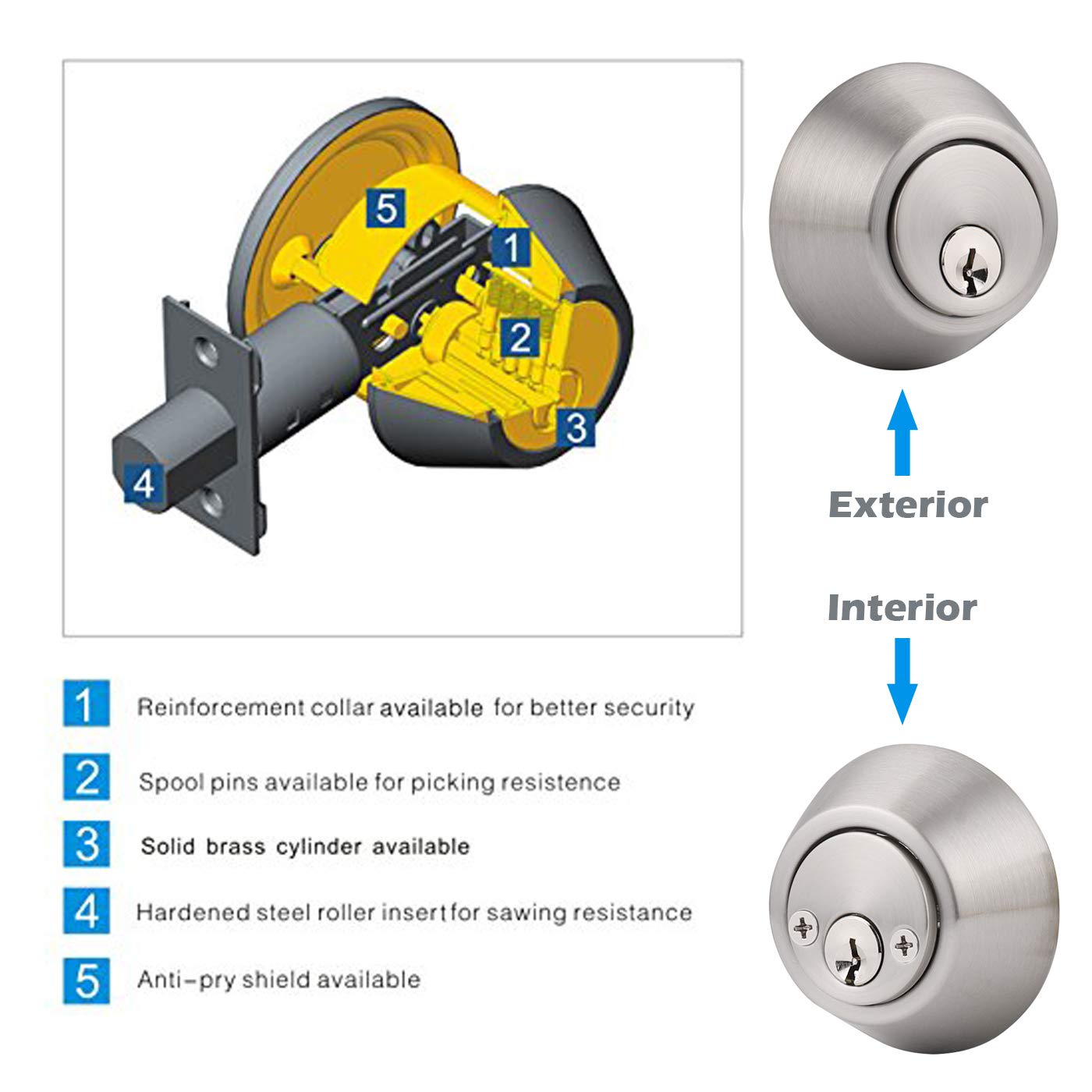 Gobrico satin nickel finish on deadbolts, a modern complement to many doors.
