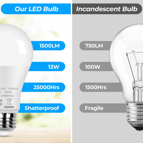 GoBright long-life LED bulb rated to 25,000 hours