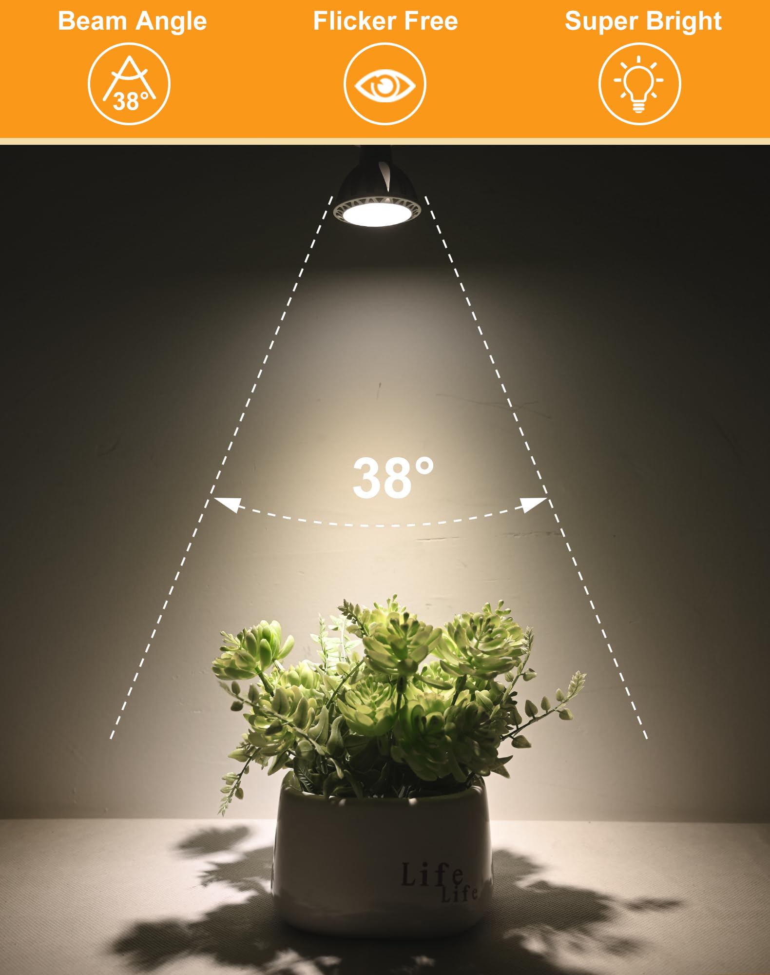 GOHDLAMP landscape lighting in action highlights architectural features