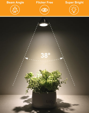 GOHDLAMP landscape lighting in action highlights architectural features