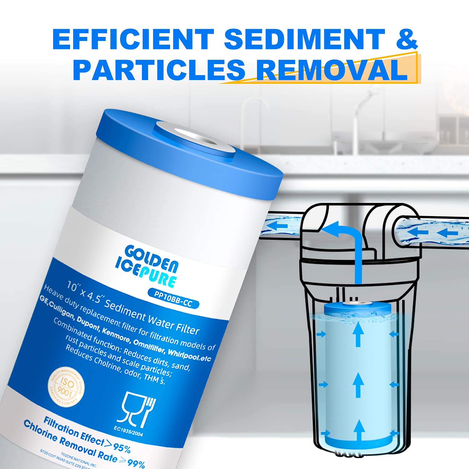 GOLDEN ICEPURE PP10BB-CC 30,000 gallon capacity badge suggests long-lasting use.