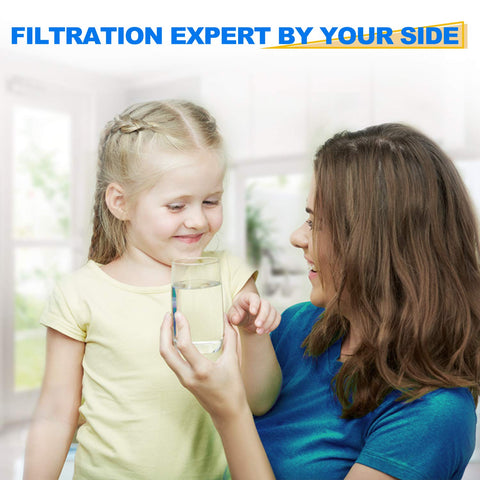 GOLDEN ICEPURE PP10BB-CC installation near the kitchen faucet enables easy setup.