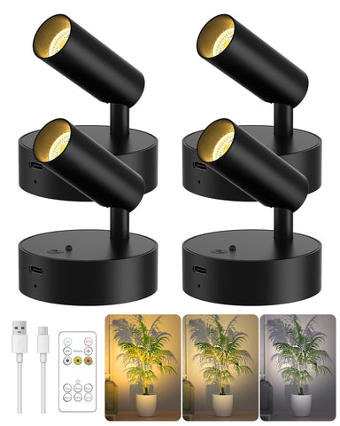 GOODEA indoor spotlight with remote for wireless art lighting and plant highlighting.