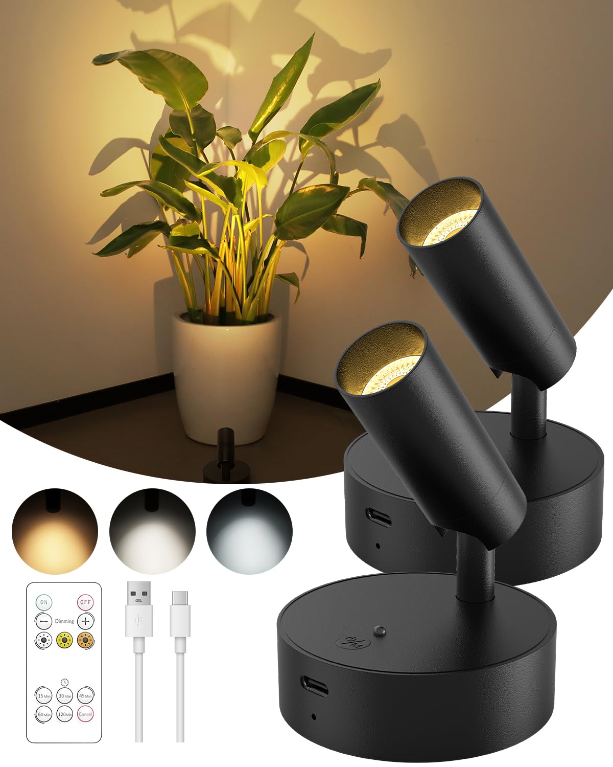GOODEA Spotlights Indoor with Remote illuminating artwork and plants with wireless ease