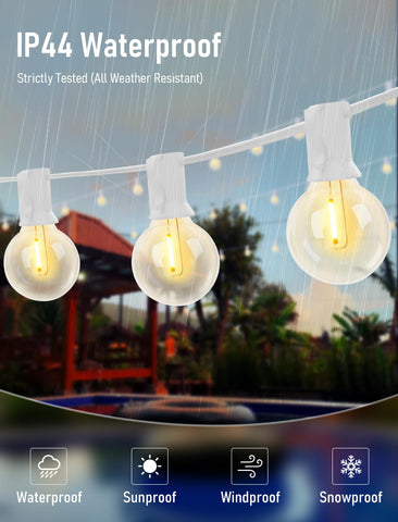 Goothy bulbs hung on a tree for quick outdoor lighting setup.
